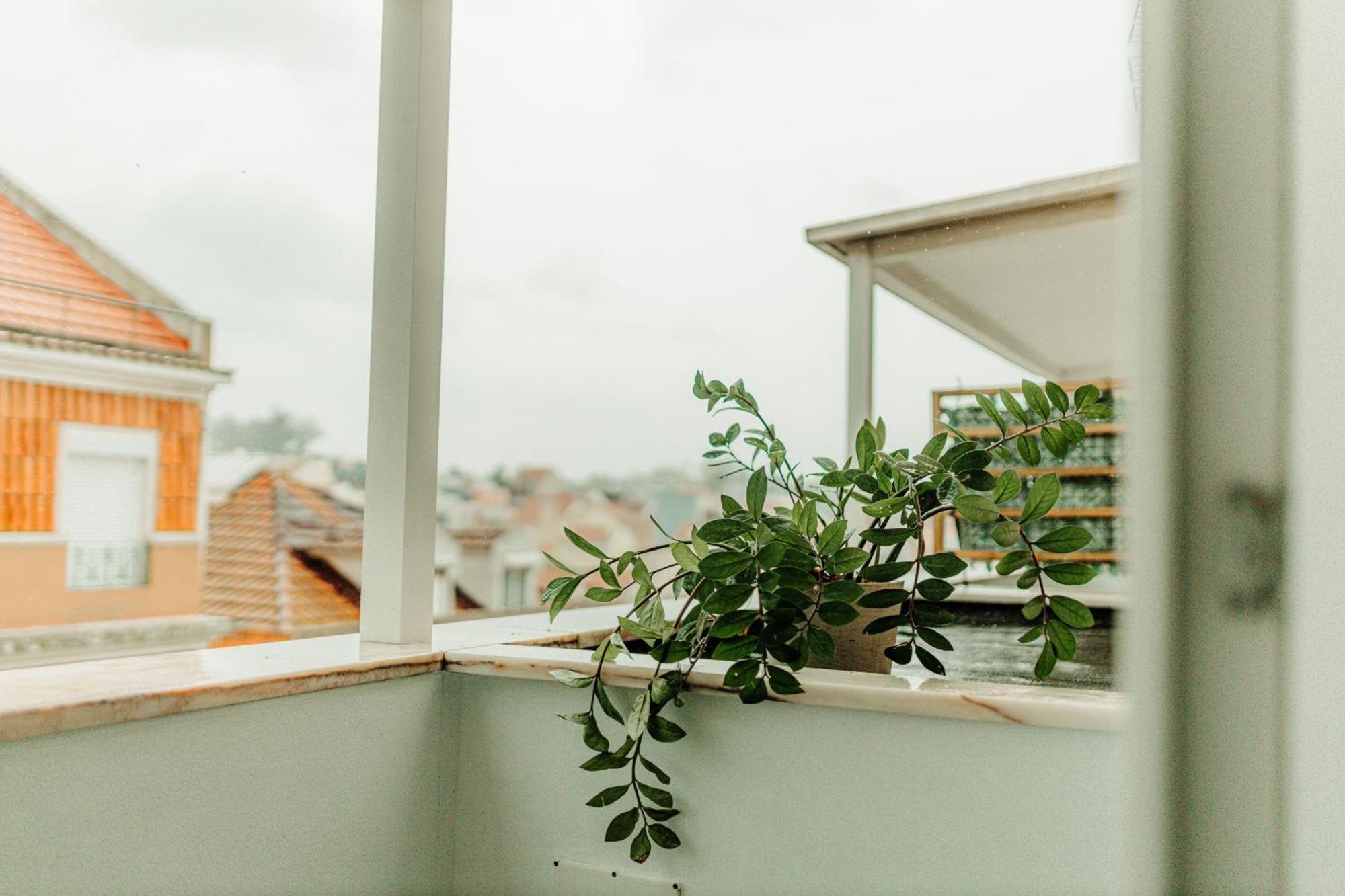 Belem Tejo - Memoria Apartment ลิสบอน ภายนอก รูปภาพ